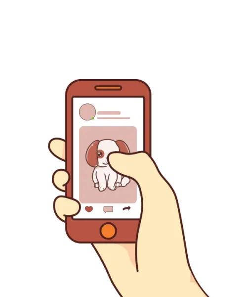 Upload Your Pet’s Photo