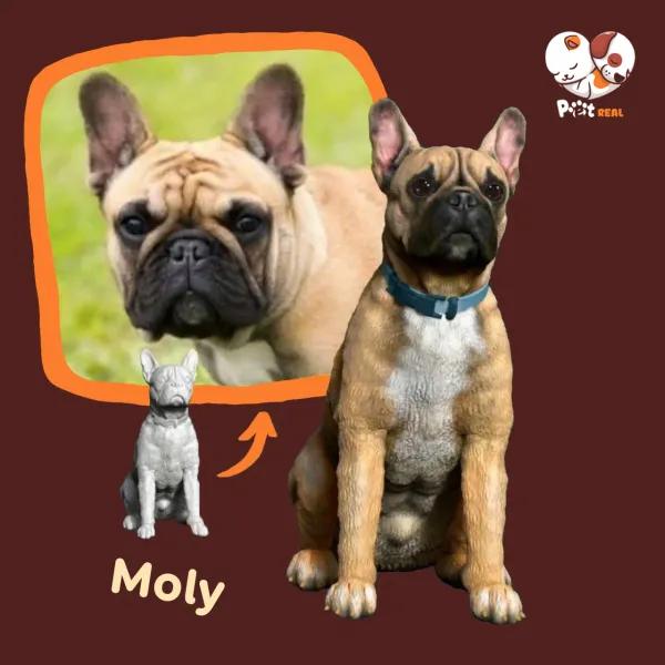 Lifelike 3D pet models199$ -> 139$